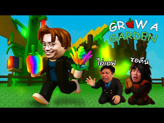 ขโมยผักแก๊งหมูสับพี่ปริมและกายหงิด แบบไม่ทันตั้งตัว !! | Grow a Garden Roblox