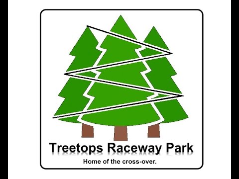 Treetops Raceway Park Diecast Racing