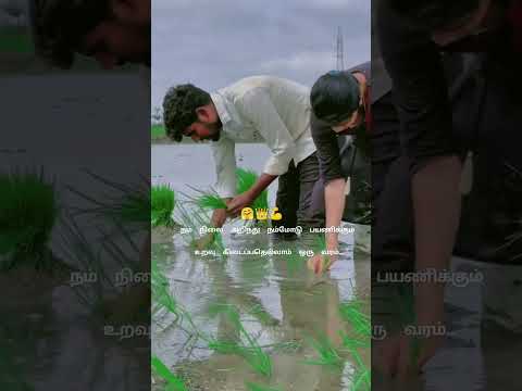 #trending #tiktok #travel #trend #trending #love #india #lifeisbutadream