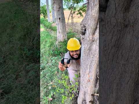 Birds ko bacha Lia 😭🦜 #shorts #viralshorts