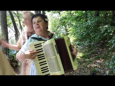 Polanie - O drzewa