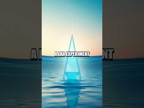 The Unseen Birth of the Compact Disc