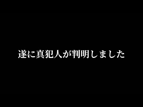 猫の動画サムネイル - ひょんなことから真犯人がわかってしまいました。