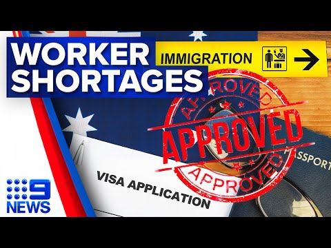 Skilled worker visa requirements to change to fill shortages | 9 News Australia