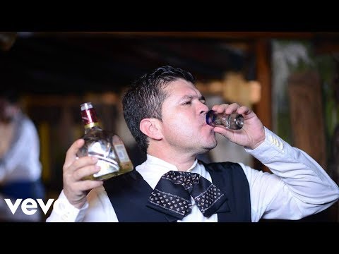 La Arrolladora Banda El Limón - Difícil Adiós (Video Oficial) 2017 Estreno