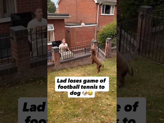 Dog Got Skills 🤣🫢