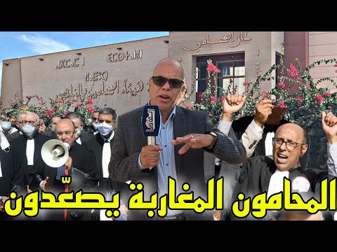 حضر الموكل وغاب المحامي بالناظور.. المحامون يوضحون دوافع مقاطعتهم للمحاكم