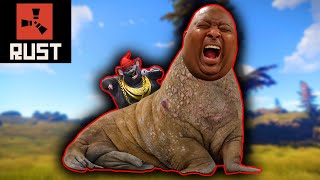 YouTube thumbnail for JKG's video titled 'The Rat Always Gets The Cheese'