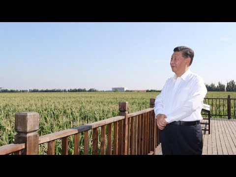 CGTN: Xi Jinping inspeciona a província de Jilin, no nordeste da China