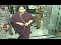 Seeking Jayalalithaa 'Bharat Ratna' Petition Rejected by Madras High Court