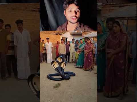 Amazing! Cobra Show with Crowd Reaction | My Take | Sora AI#SoraAI# #AIgenerated#ReactionVideo