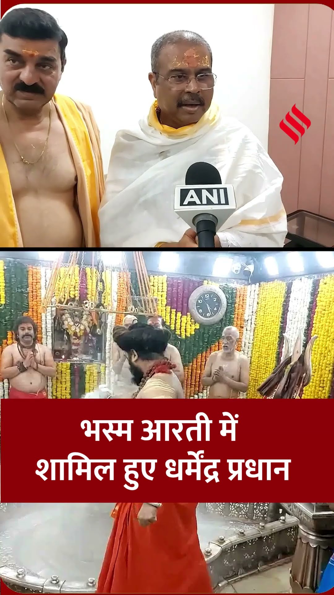 केंद्रीय मंत्री धर्मेंद्र प्रधान महाकालेश्वर मंदिर में भस्म आरती में हुए शामिल #dharmendrapradhan