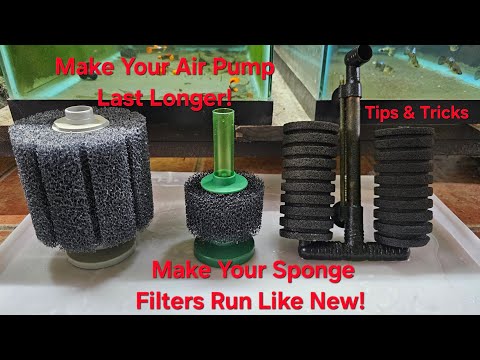 How To ACTUALLY Clean Your Sponge Filter Like a PR Hey, fish family. Today, I will be showing you how to properly clean your Sponge Filters. most peopl