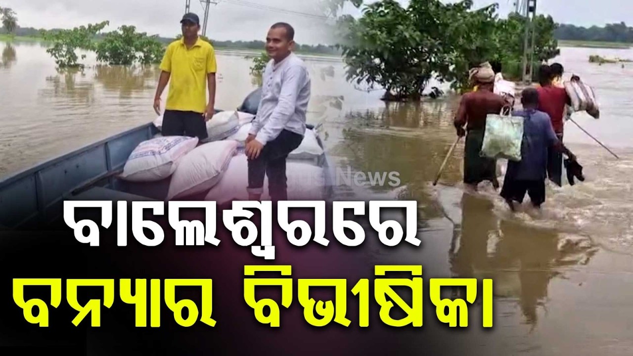 Jalaka River Flows Above Danger Level In Balasore | Thousands Of Hectares Crop Damaged | Argus News