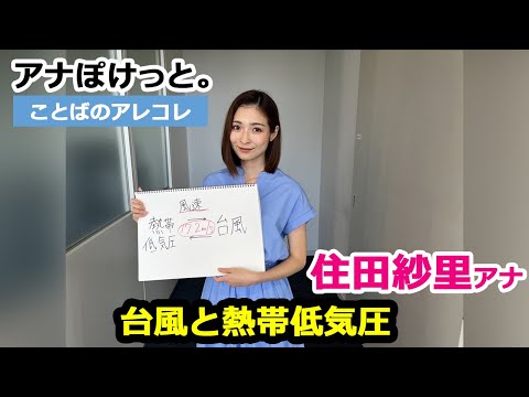 【アナぽけっと。】「台風と熱帯低気圧」住田紗里