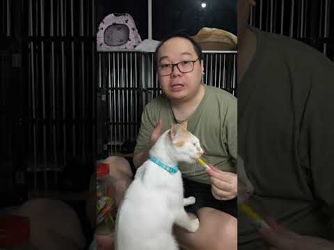 Review Snack Creamy Kucing Mix