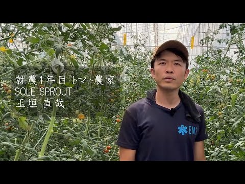 30歳で農業へ!若手トマト農家さんを紹介!
