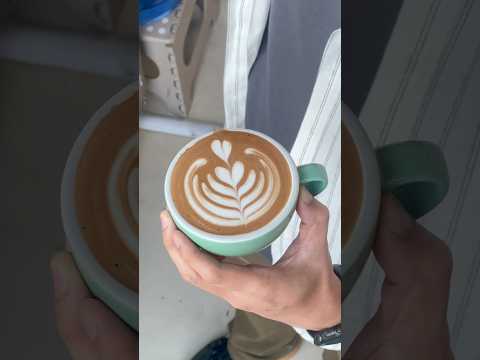 Tulip Latteart #coffee #barista #tulip #latteart #shorts #shortvideo