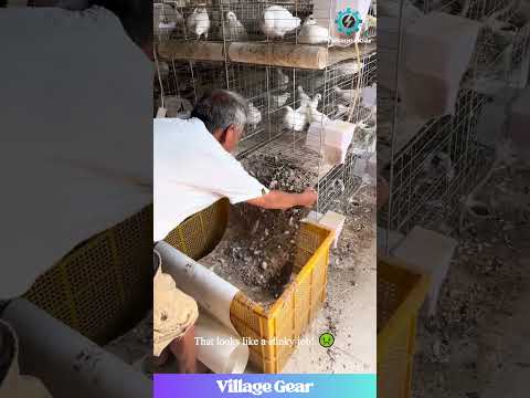 That Automatic Poop-Scooter 9000 is a GAME CHANGER! 😂 Work Smarter, Not Harder! #pigeon #cleaning