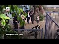 Clashes between Israeli police and ultra-Orthodox Jews before Lag BaOmer festivities  - 00:44 min - News - Video