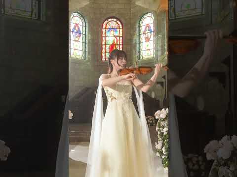#Butter-Fly #デジモンアドベンチャー #Violin Ayako Ishikawa