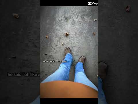 No my puppy #horse #equestrianjourney #horseenthusiast #stopanimalabuse #equestrian #horsefan