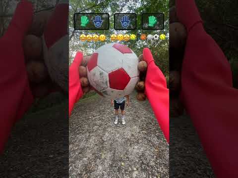 LEGENDARY CATCH Challenge | ASMR Walnut Gloves 3-Stage Battle 🌰🔥 #amoofadaa 🌱