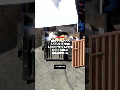 Hollywood agent’s son arrested after gruesome discovery