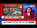 Rajasthan: Pali में MNREGA Portal पर मजदूरों की जगह कुत्तों की फोटो, फर्जीवाड़े का खुलासा - 01:53 min - News - Video