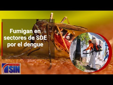 Fumigan en sectores de SDE por el dengue