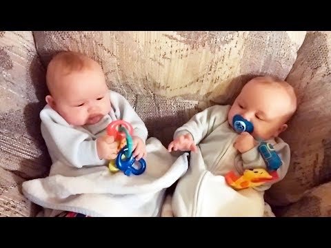 Cute Kids Stealing Things are ALL FUNNY! - GET READY to LAUGH!   Funny BABIES