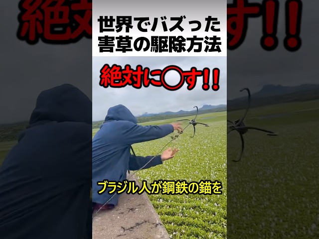 水草の駆除方法