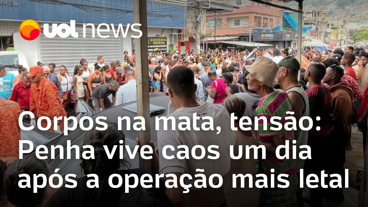 Corpos na mata tensão Repórter do UOL relata caos na Penha um dia após operação mais letal do RJ  TV Online Corpos na mata tensão Repórter do UOL relata caos na Penha um dia após operação mais letal do RJ
