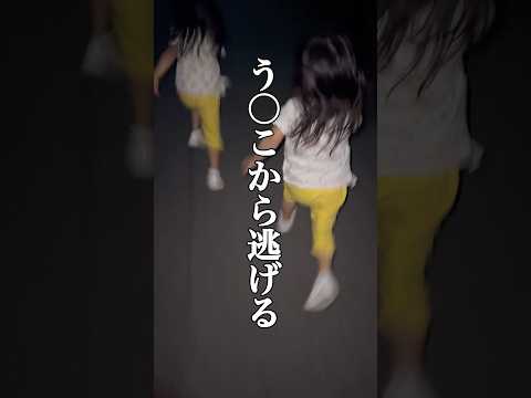 双子と夜のお散歩行ったら恐怖で逃げられました#shorts #twins #たらこ3姉妹