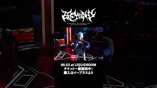 #VESPERBELL 初の生バンドライブ 3rd ONE-MAN LIVE BEYOND開催まで残り4日！#VESP3rdONEMAN