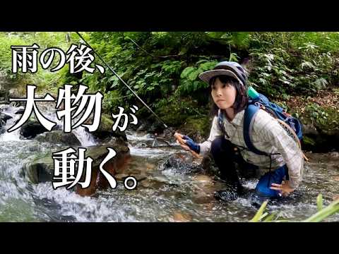【魚の荒食い】大雨の後に渓流釣りで起きること