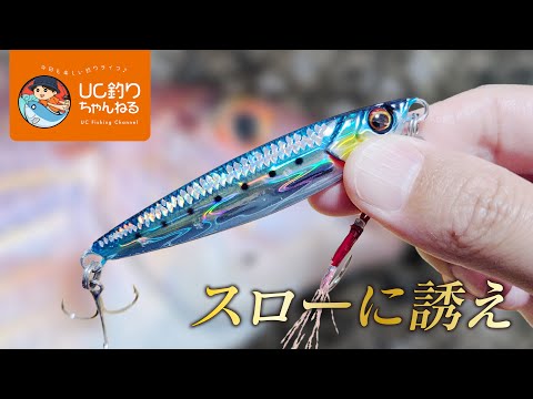 夏のショアジギング！青物にも強いライブベイトジグで攻略！