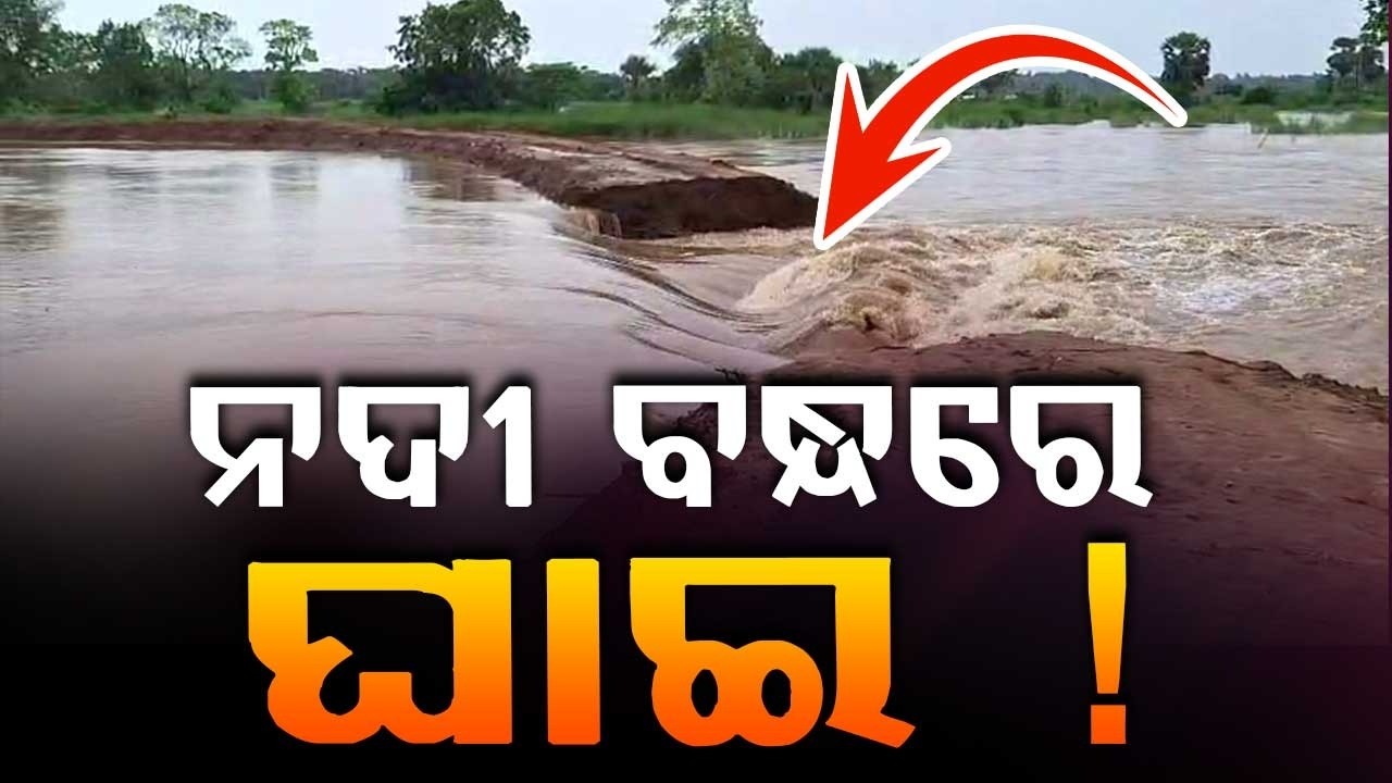Jajpur Flood News: 50-Foot Breach In Kani River Near Dasarathpur Inundates Farmland | Argus News