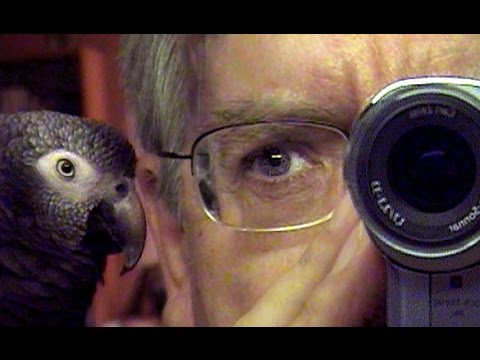 Le filmeur'
