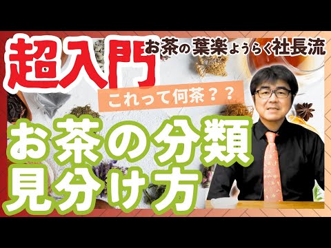 【超入門】お茶っていろいろあってよくわからない！　初心者の方向けに違いを見分ける方法をお教えします！