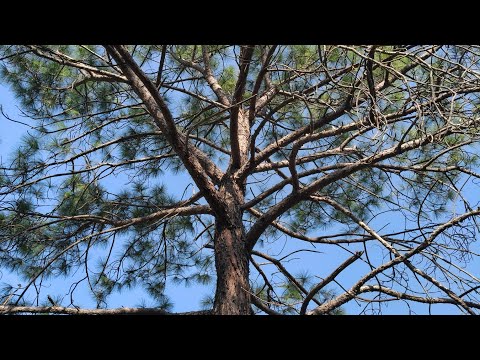 Welcome in my 352nd support Live Strem || Connect 🔄 India🇮🇳 Connect 🔄 Globally 🌍