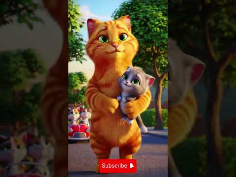 Funny Cat Video