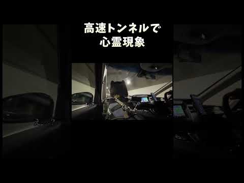 犬の動画サムネイル - 高速トンネルで心霊現象