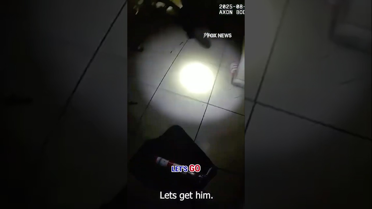 WATCH: Officers drag man from burning home in dramatic rescue #shorts #firerescue #florida #tampa