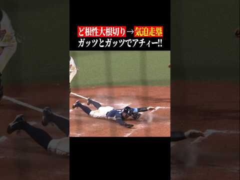 熱い熱すぎる、ただひたすらに #shorts