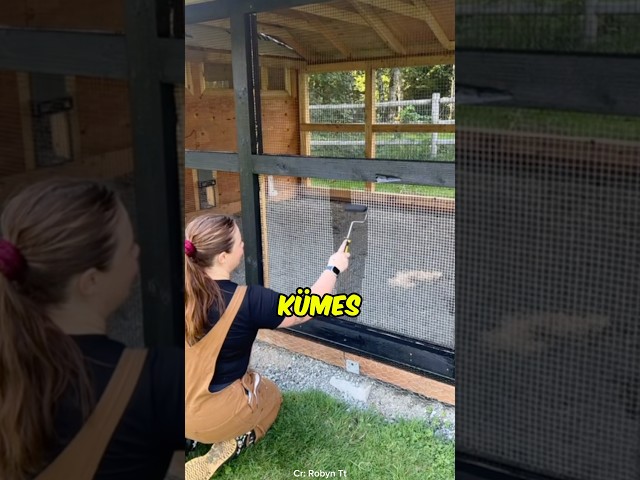 Kümes Telleri Neden Beyaz Olmaz 🐓🤯