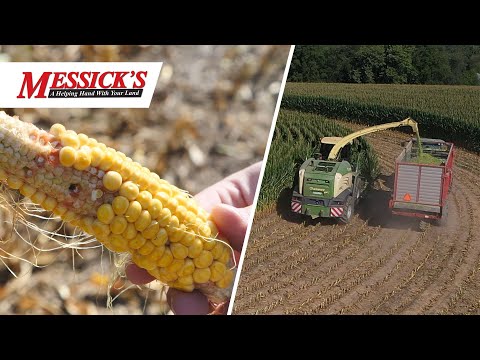 Ride Along in a Krone Big-X Forage Harvester with Fahnestock Family Farms Picture