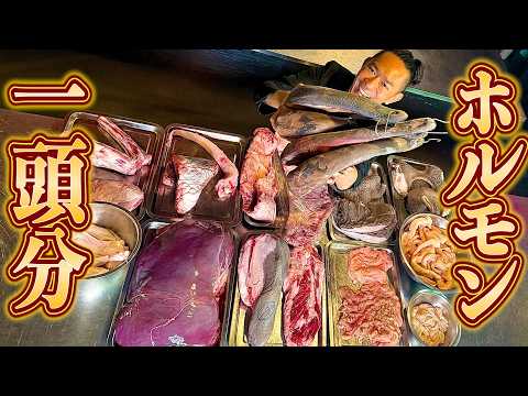 【ホルモン一頭分】肉のプロが牛の内臓、全パーツ解説・暴露します!