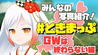 【写真募集】#ときまっぷ みんなのおでかけ写真を紹介ッ📸🌾まだ5月だからGWってことで…🎏【勝手に新潟宣伝大使/Vtuber越後屋ときな】