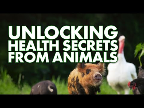 Can Animals Cure Diseases?  | Strange & Suspicious TV Show